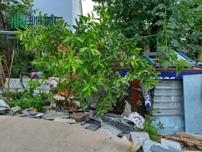 Bán đất Xã thới tam thôn Huyện Hóc Môn, Đ. 3m, chỉ 1.xx tỷ