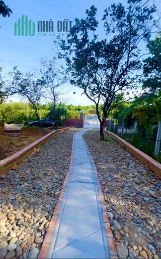 CHÍNH CHỦ CẦN CHO THUÊ Vườn Cây Lâu Năm, Có Nhà Ở Tại Thành Phố Huế