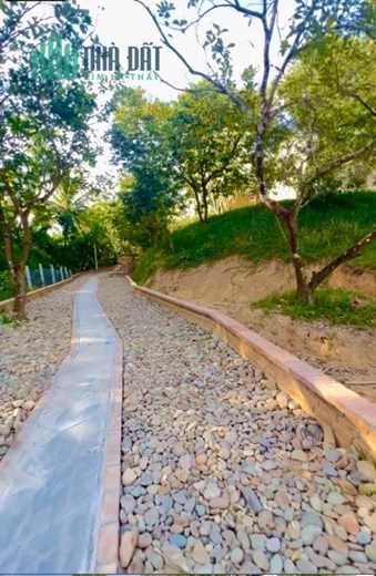 CHÍNH CHỦ CẦN CHO THUÊ Vườn Cây Lâu Năm, Có Nhà Ở Tại Thành Phố Huế