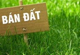 Chính chủ cần bán nhanh 2 Lô Đất Thuộc Cao đồng - Đồng Phúc - Bắc Giang.