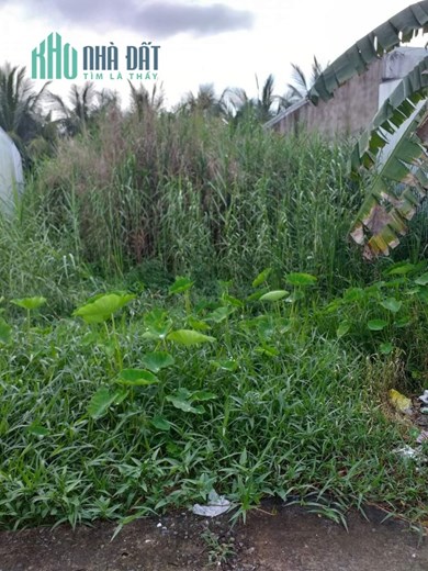 CHÍNH CHỦ CẦN BÁN NHANH LÔ ĐẤT TẠI  Phường Tân Xuyên - TP CÀ MAU - CÀ MAU