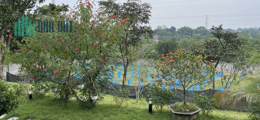 Chính chủ cần bán gấp nhà, đất nghỉ dưỡng đẹp mê ly - 1684 m2 tại Ba Vì, Hà Nội