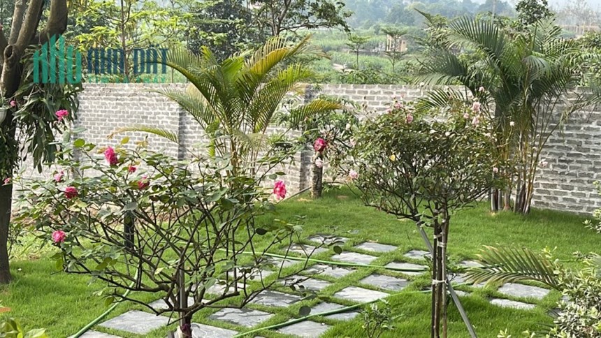 Chính chủ cần bán gấp nhà, đất nghỉ dưỡng đẹp mê ly - 1684 m2 tại Ba Vì, Hà Nội