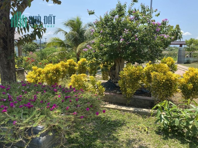 Bán nhà vườn (Farm) ở Diên Thọ, Diên Khánh, Khánh Hòa