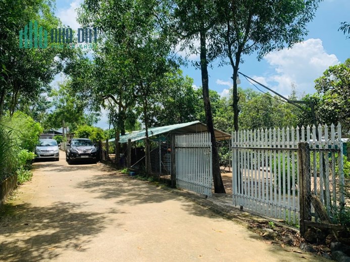 Giảm giá bán nhanh đất thổ cư đường TL328 Phước Tân,Xuyên Mộc,Bà Rịa Vũng Tàu
