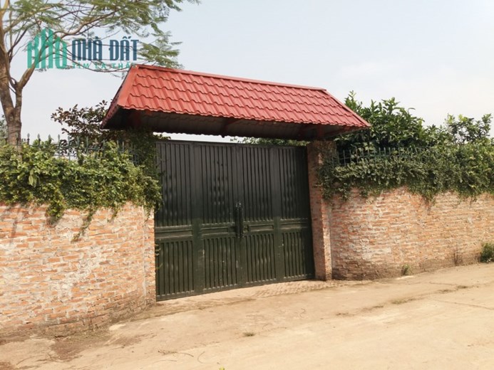 Chính chủ bán 800m2 đất 50 năm sổ đỏ chính chủ tại xã Song Phương, Hoài Đức, LH 0979123026