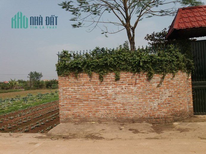 Chính chủ bán 800m2 đất 50 năm sổ đỏ chính chủ tại xã Song Phương, Hoài Đức, LH 0979123026