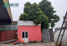 Cho thuê kho xưởng, diện tích 1000m2 tại Song Phương - Hoài Đức - Hà Nội