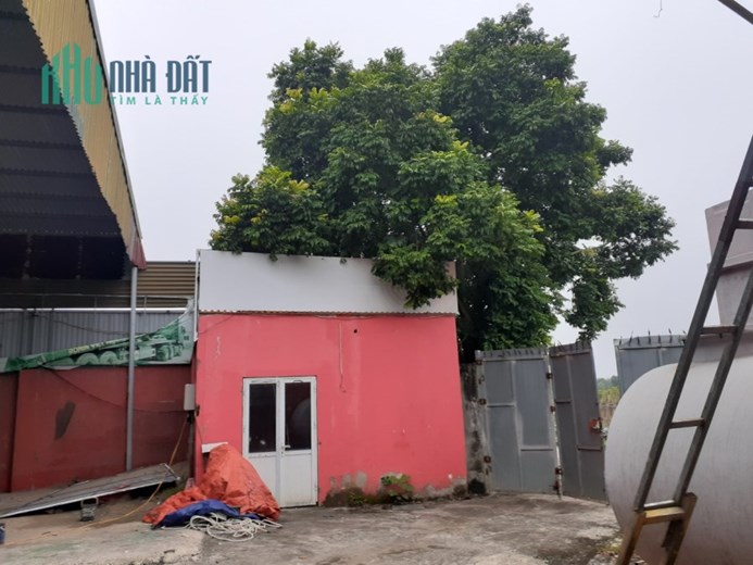 Cho thuê kho xưởng, diện tích 1000m2 tại Song Phương - Hoài Đức - Hà Nội