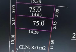 Chính Chủ Nhờ Bán 75m2  tại Xuân Tảo, Xuân Giang, Sóc Sơn.