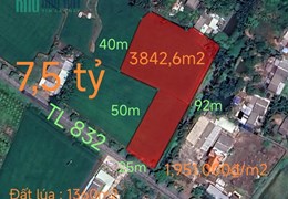 Bán lô đất thổ lúa mặt tiền tỉnh lộ 832 giá 7,5 tỷ