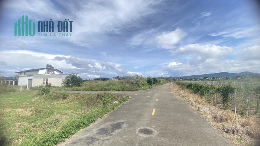 Bán lô đất hẻm nhựa hàn thuyên, liên nghĩa đức trọng chỉ 1,35 tỷ