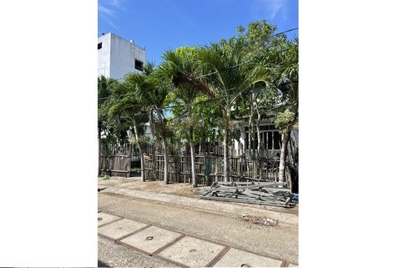 HÀNG NGỘP GIẢM SÂU nhà vườn Tam Thôn Hiệp, Cần Giờ, TP.HCM - 380m2 có 250m2 thổ cư 3.6 tỷ