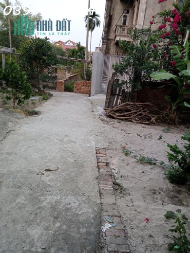 Chính chủ cần bán 113.5m2 đất thổ cư tại phường Nghi An - thị xã Thuận Thành