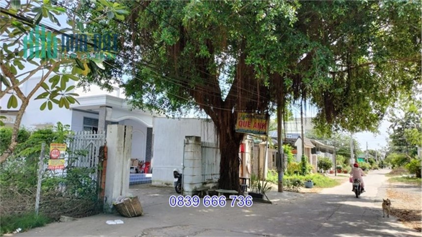 Nhà Phố Phường 4. Hưởng Không Gian Lớn và Đẹp