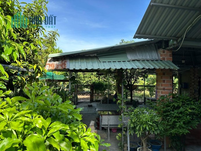 CHÍNH CHỦ BÁN ĐẤT TẶNG NHÀ SỔ HỒNG RIÊNG GIÁ RẺ DUY NHẤT TẠI HÒA THÀNH