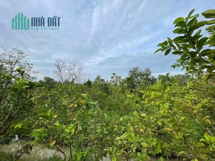 CHÍNH CHỦ BÁN NHANH  LÔ ĐẤT Vị Trí Đẹp Tại   Thị Xã Cai Lậy, Tỉnh Tiền Giang
