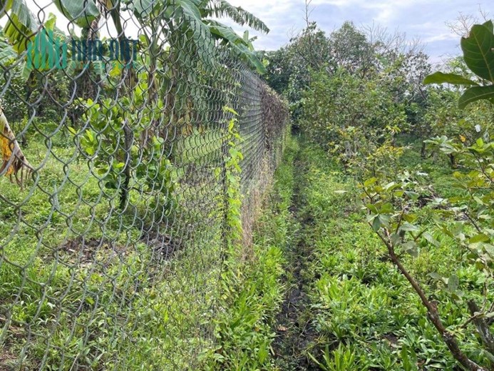 CHÍNH CHỦ BÁN NHANH  LÔ ĐẤT Vị Trí Đẹp Tại   Thị Xã Cai Lậy, Tỉnh Tiền Giang