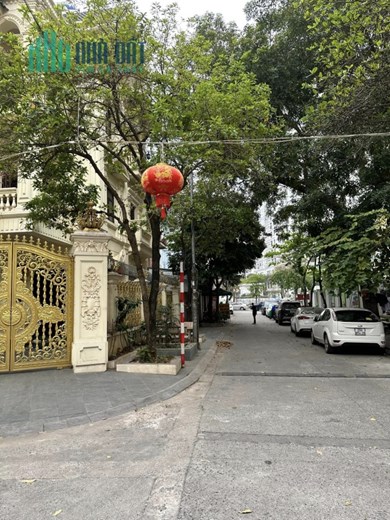 HOA HẬU !! Bán Biệt Lão Thành Cách Mạng 160mx4T LÔ GÓC MT 16m 1 nhà ra phố KD ở sướng 45 ty chính