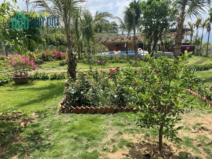 BÁN GẤP LÔ ĐẤT NGHỈ DƯỠNG HƠN 9000M2 VỊ TRÍ CỰC ĐẸP THUỘC H.DIÊN KHÁNH, KHÁNH HÒA.