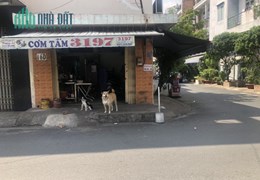 Sang Gấp Quán Cơm Tấm+Bún Thị Nướng 2 Mặt Tiền – Số 16d, Bùi Minh Trực, Phường 5, Quận