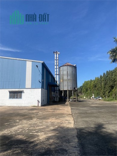 chuyển nhượng nhà máy hoạt động sản xuất lĩnh vực viên nén, tại KCN Đồng Nai