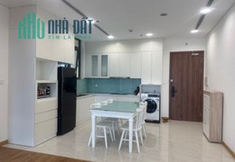 Cho thuê CHCC 1PN 55m2 tại Chung cư mới Diamond Park Plaza 16 Láng Hạ, Thành Công, Ba Đình