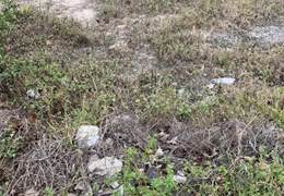 Chủ cần bán nhà ngay chợ Xuân Hiệp phường Linh Xuân Tp Thủ Đức.