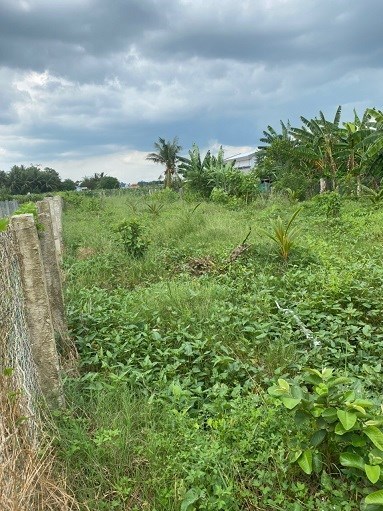 CẦN BÁN LÔ ĐẤT VƯỜN 500M2 ĐỂ LÀM NHÀ VƯỜN TRỒNG CÂY , NUÔI CÁ , NGHỈ DƯỠNG CUỐI TUẦN THỎA MÁI TINH