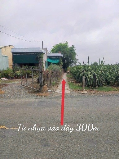 CẦN BÁN LÔ ĐẤT VƯỜN 500M2 ĐỂ LÀM NHÀ VƯỜN TRỒNG CÂY , NUÔI CÁ , NGHỈ DƯỠNG CUỐI TUẦN THỎA MÁI TINH