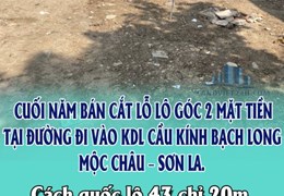 CUỐI NĂM BÁN CẮT LỖ LÔ GÓC 2 MẶT TIỀN TẠI ĐƯỜNG ĐI VÀO KDL CẦU KÍNH BẠCH LONG