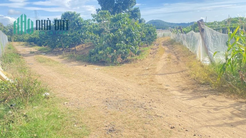 Bán lô đất ngộp hẻm ql20 gần nhà hàng giang thạch thảo, phú hội đức trọng