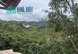 CHÍNH CHỦ BÁN CĂN NHÀ NHO XINH TẠI XÃ ĐẠ NHIM HYUYỆN LẠC DƯƠNG TP ĐÀLẠT