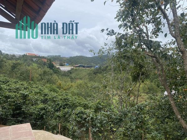 CHÍNH CHỦ BÁN CĂN NHÀ NHO XINH TẠI XÃ ĐẠ NHIM HYUYỆN LẠC DƯƠNG TP ĐÀLẠT