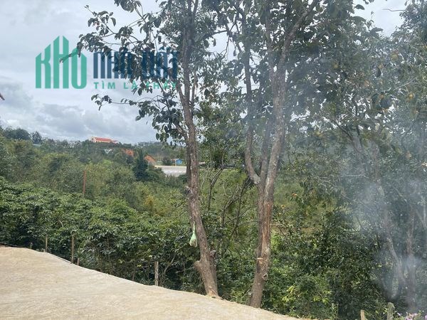 CHÍNH CHỦ BÁN CĂN NHÀ NHO XINH TẠI XÃ ĐẠ NHIM HYUYỆN LẠC DƯƠNG TP ĐÀLẠT