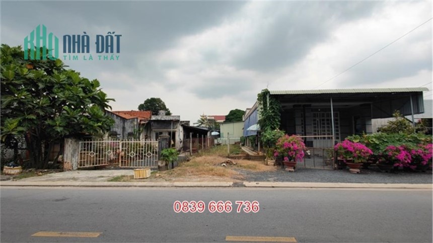 Chính Chủ Cần Bán Gấp Ngộp Ngộp