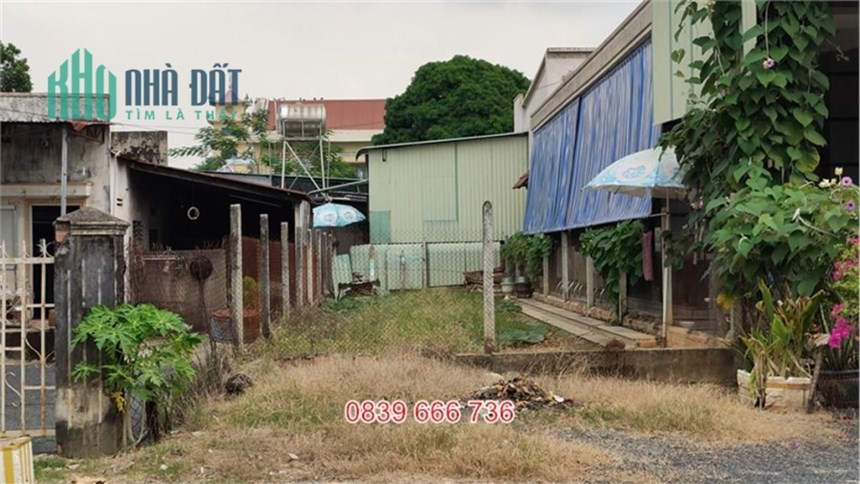 Chính Chủ Cần Bán Gấp Ngộp Ngộp