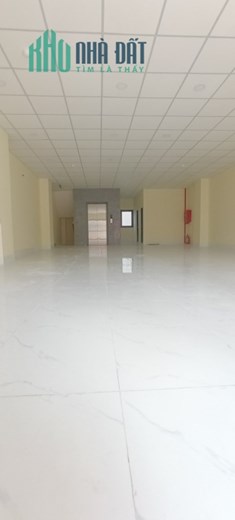 Cho thuê nhà mặt tiền số 61 đường Phổ Quang -Tân Bình mới xây dựng làm văn phòng và mặt bằng kinh