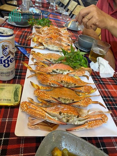 SANG QUÁN NHẬU NGAY TRUNG TÂM QUẬN 5