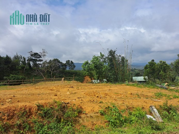 Bán ĐẤT MĂNG CÀNH - MĂNG ĐEN THÍCH HỢP MỌI LOẠI HÌNH SIÊU RẺ