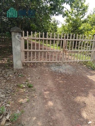 Bán đất vườn xã đôn thuận - trảng bàng Tây Ninh