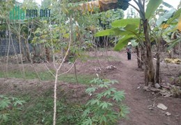!!CHÍNH CHỦ CẦN RA LÔ ĐẤT TẠI NHÂN MỸ, LÝ NHÂN, HÀ NAM
