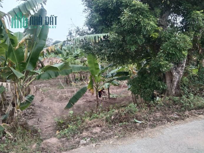 !!CHÍNH CHỦ CẦN RA LÔ ĐẤT TẠI NHÂN MỸ, LÝ NHÂN, HÀ NAM