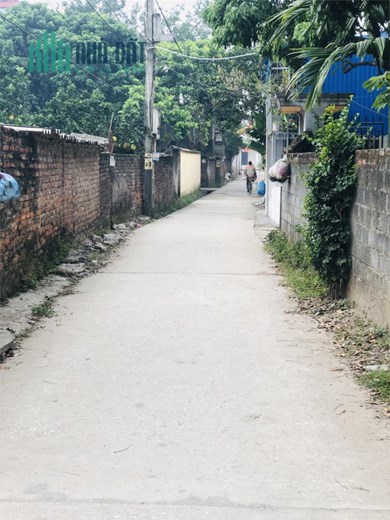 55m2 đất Phụng Châu, đường ô tô, cách ủy ban xã 200m giá 950tr