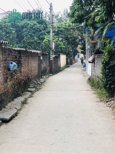 55m2 đất Phụng Châu, đường ô tô, cách ủy ban xã 200m giá 950tr