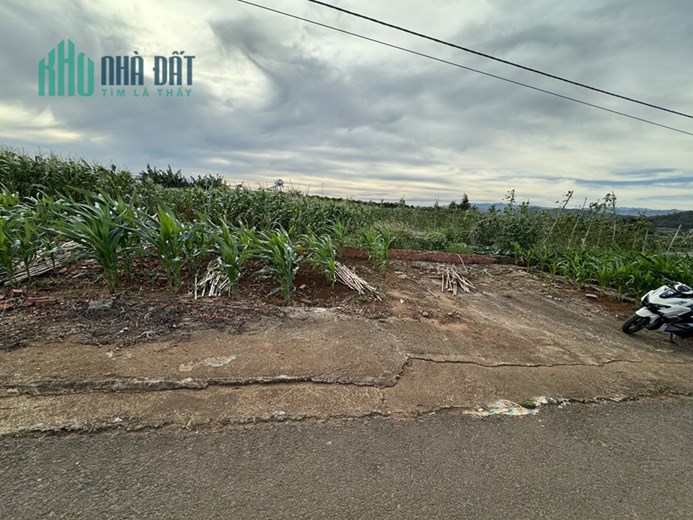 CHÍNH CHỦ BÁN NHANH LÔ ĐẤT MẶT TIỀN ĐƯỜNG NHỰA LỚN Vị Trí Đẹp Tại Lâm Hà, Lâm Đồng