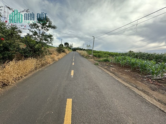 CHÍNH CHỦ BÁN NHANH LÔ ĐẤT MẶT TIỀN ĐƯỜNG NHỰA LỚN Vị Trí Đẹp Tại Lâm Hà, Lâm Đồng