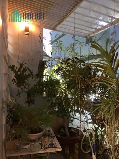 Gò Vấp, HXH, N 4.5m, 56m2, 4PN, chỉ 7 tỷ
