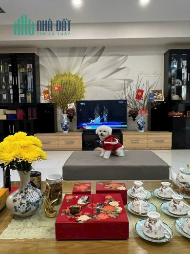 Bán Nhà Tâm Quyết Đường A1 KĐT Vĩnh Điềm Trung,Cạnh Trường Quốc Tế Singapore