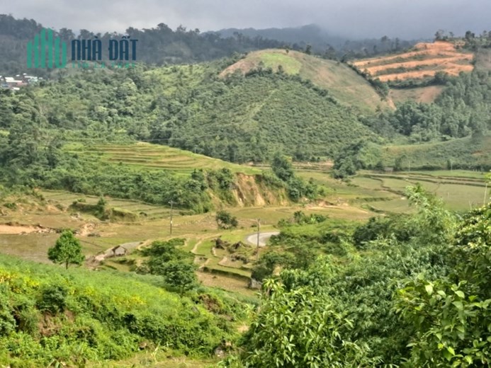 ĐẤT NỀN KHU DU LỊCH QUỐC GIA - MĂNG ĐEN PLEIKU QUY HOẠCH ĐẸP